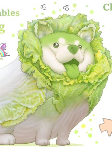 wuliandianfeng-pikapi