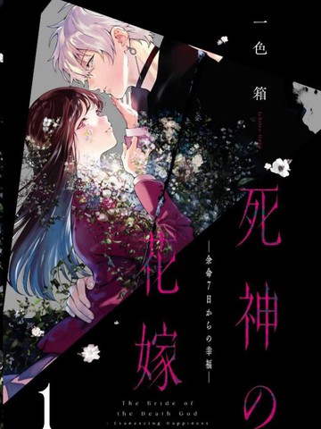 wuliandianfeng-pikapi