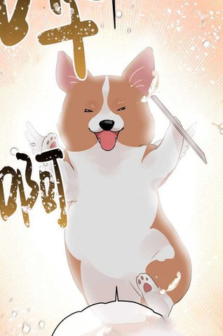 wuliandianfeng-pikapi
