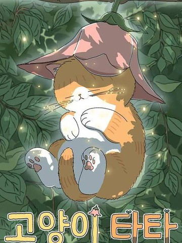 wuliandianfeng-pikapi
