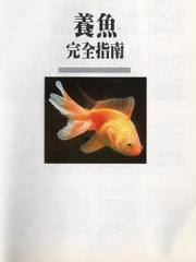 wuliandianfeng-pikapi