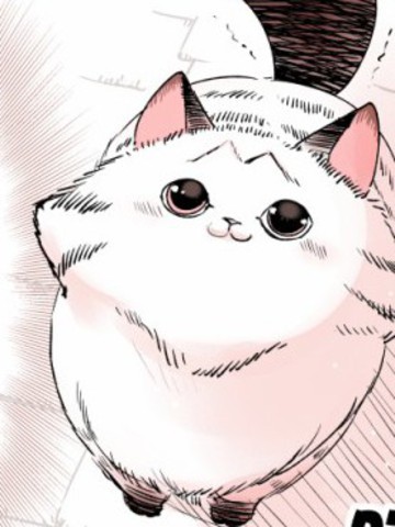 wuliandianfeng-pikapi